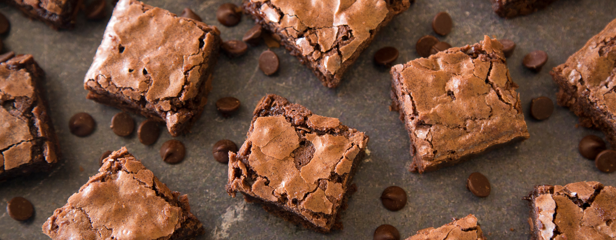 HOG Banner (11).png__PID:3fc84407-cdac-4025-8f3b-5b2f537c0838